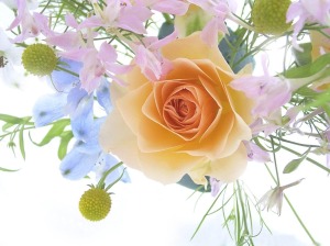 Flowers_-_a_spring_bouquet_with_a_rose